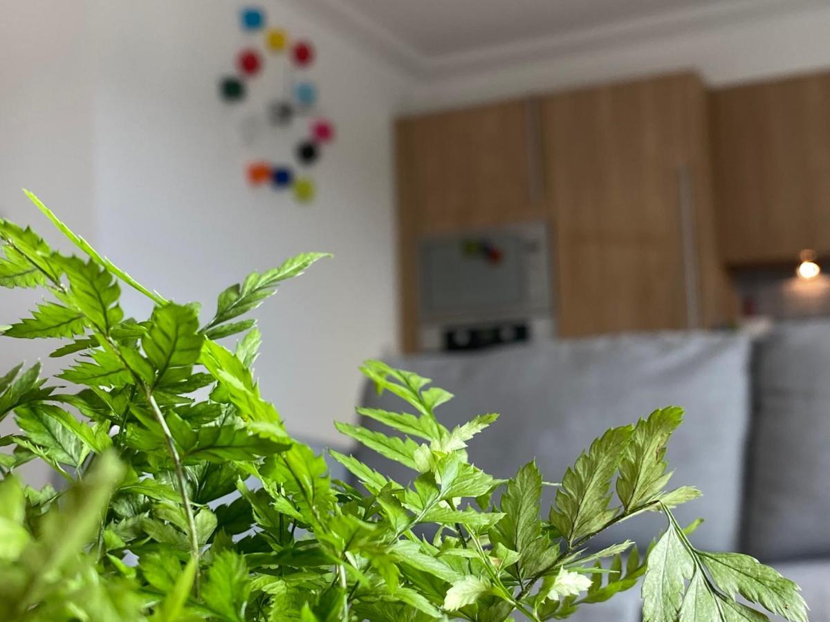 The Duplex Nairn- Spacious 3 Bedroom With Sunny Balcony Εξωτερικό φωτογραφία